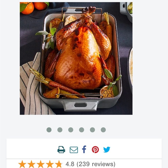 Pampered Chef Nonstick Roasting Pan with Golden Turkey